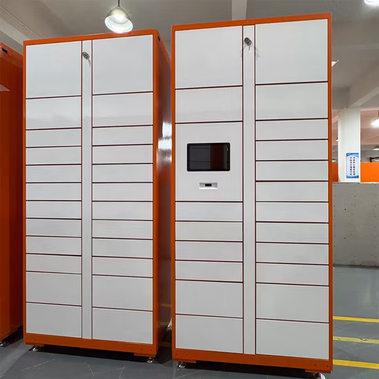 Outdoor Waterproof Face Smart Locker Smart Parcel Locker