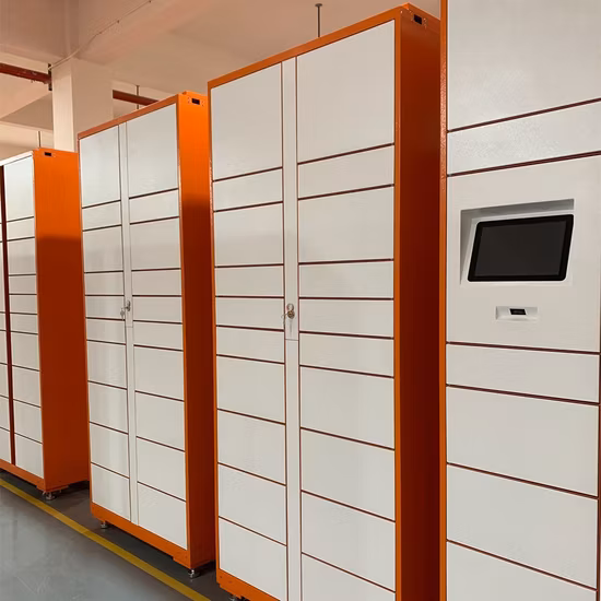 Outdoor Waterproof Face Smart Locker Smart Parcel Locker