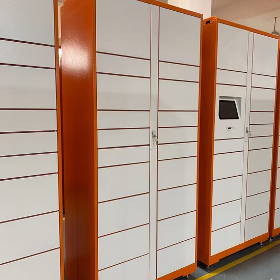 Outdoor Waterproof Face Smart Locker Smart Parcel Locker