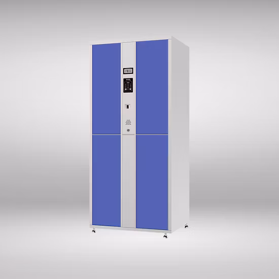 Barcode Qr Code Safe &Nbsp; Beach Luggage Storage Locker