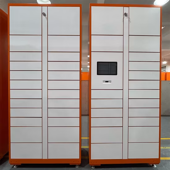 Outdoor Waterproof Face Smart Locker Smart Parcel Locker
